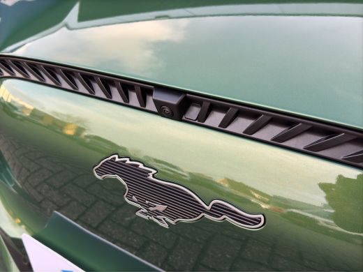 Ford Mustang Mach-E Mach-E Standard RWD 75 kWh | Achteruitrijcamera | Cruise control adaptief met Stop&Go en stuurhul... ActivLease financial lease