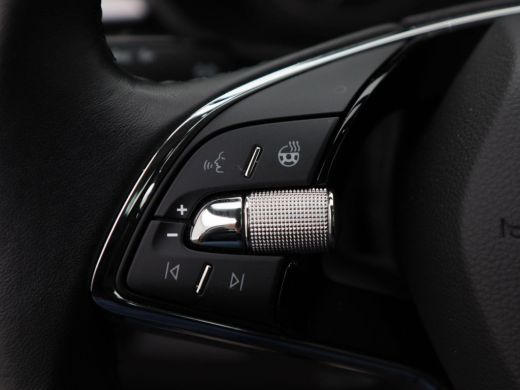 Skoda Fabia 1.0 TSi Business Edition 110 Pk Automaat | Camera | Stuur- & Stoelverwarming | Parkeersensoren | ... ActivLease financial lease