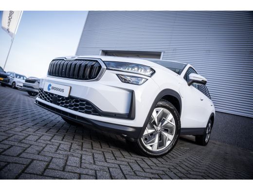 Skoda Kodiaq 1.5 TSI PHEV Business Edition | Extra getint glas | Trekhaak uitklapbaar | Volledig digitaal inst... ActivLease financial lease