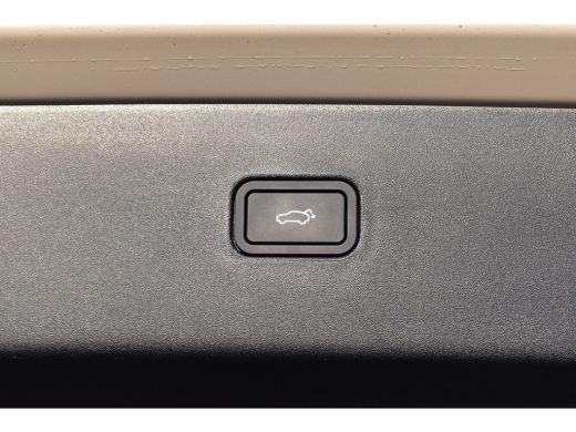 Volvo  EX30 Single Motor Extended Range Plus 69 kWh | Harman Kardon | Stoel/Stuurverwarming | Sand Dune | 20" | ActivLease financial lease