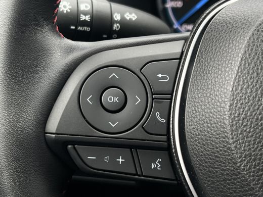 Toyota RAV4 2.5 Plug-in Hybrid AWD Bi-Tone | Navi | LED | Camera | CarPlay | ACC | HUD | 19 inch ActivLease financial lease