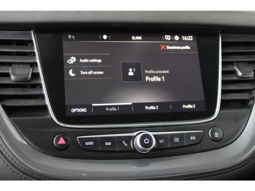 Opel Grandland X 1.2 Turbo Business Executive | Apple carplay | Navigatie | Dodehoekdetectie | 17'' lichtmetalen v... ActivLease financial lease