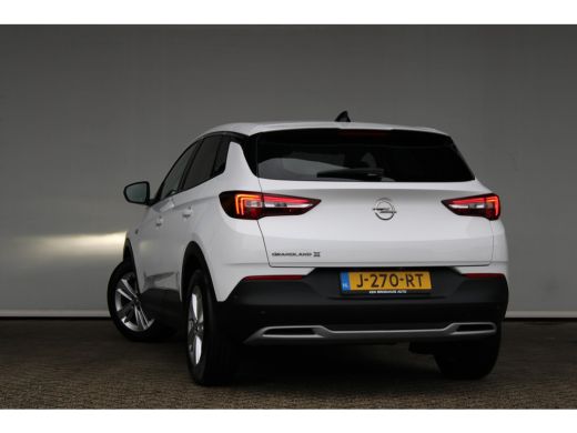 Opel Grandland X 1.2 Turbo Business Executive | Apple carplay | Navigatie | Dodehoekdetectie | 17'' lichtmetalen v... ActivLease financial lease