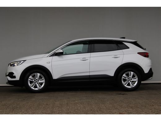 Opel Grandland X 1.2 Turbo Business Executive | Apple carplay | Navigatie | Dodehoekdetectie | 17'' lichtmetalen v... ActivLease financial lease