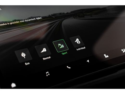 Skoda Kodiaq 1.5 TSI PHEV 204pk Business Edition | Panoramadak | Trekhaak | 360 Camera | Leder | Bestuurdersst... ActivLease financial lease