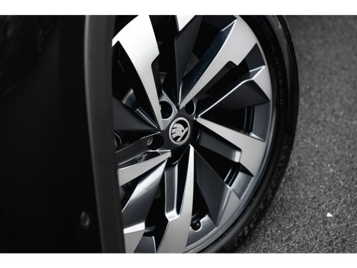 Skoda Kodiaq 1.5 TSI PHEV 204pk Business Edition | Panoramadak | Trekhaak | 360 Camera | Leder | Bestuurdersst... ActivLease financial lease