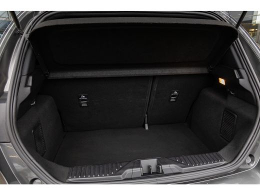 Ford Fiesta 1.0 EcoBoost Hybrid ST-Line | Stoel/stuur/voorruit verwarming | Keyless | Apple Carplay/Android A... ActivLease financial lease