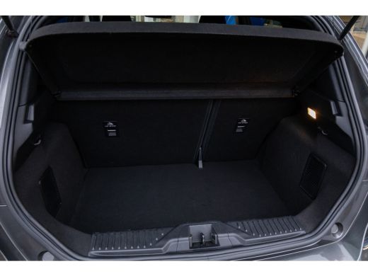 Ford Fiesta 1.0 EcoBoost ST-Line | Apple Carplay/Android Auto | Cruise control | Sportstoelen | Navigatie | P... ActivLease financial lease