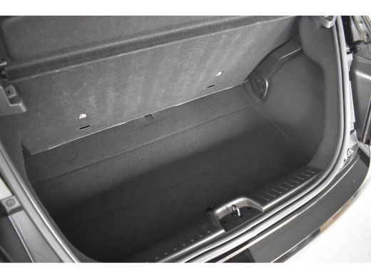 Fiat 500 Icon 42 kWh | 1e Eigenaar! | Navi | Clima | Half Leder | Cruise Control | Lichtmetalen Velgen | DAB ActivLease financial lease