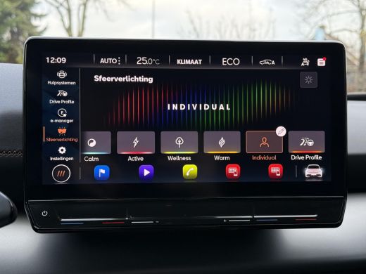 CUPRA Born Aut. Edition Pro 62kWh | LED | ALU | Navi | Camera | Carplay | ActivLease financial lease