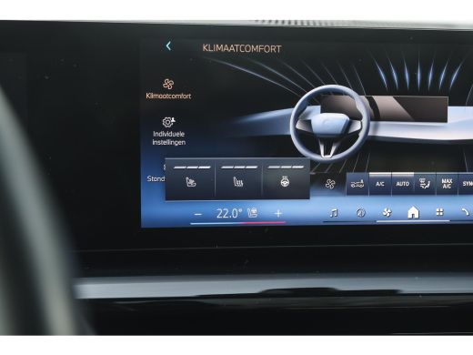 BMW 5 Serie 520i M Sport Automaat / Panoramadak / Trekhaak / Adaptief onderstel professional / Stoelventilati... ActivLease financial lease
