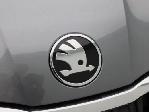 Skoda Octavia Combi 1.5 TSi 150 Pk Automaat Business Edition Plus | Panoramadak | Virtual Cockpit | Elektrische... ActivLease financial lease