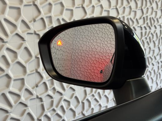 Nissan QASHQAI 1.3 MHEV 160PK 1800KG TREKGEWICHT TEKNA PLUS BOSE 20''LMV LEER ALCANTARA PANO MASSAGE BOSE STOEL/... ActivLease financial lease