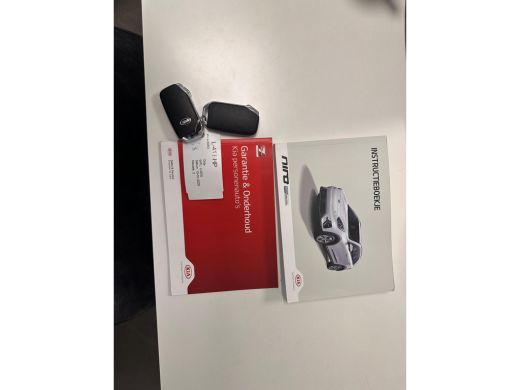 Kia e-Niro ExecutiveLine 64 kWh NL-AUTO | LEDER | PANODAK | 3 FASE ActivLease financial lease