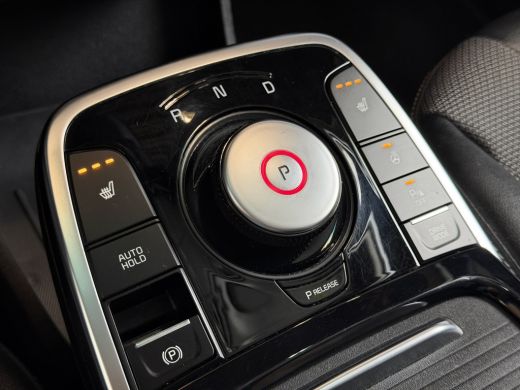 Kia e-Niro DynamicLine 64 kWh full options | btw auto ActivLease financial lease