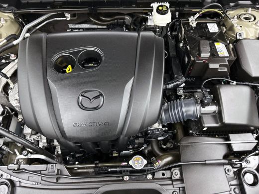 Mazda CX-30 2.0 e-SkyActiv-G M Hybrid TWO TONE Nagisa HEAD-UP | BOSE | EL.VERST.STOEL ActivLease financial lease