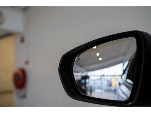 Opel Grandland X 1.2 Turbo Business Executive | Climate Controle | Navigatie | Camera | Parkeersensoren | AGR Stoe... ActivLease financial lease