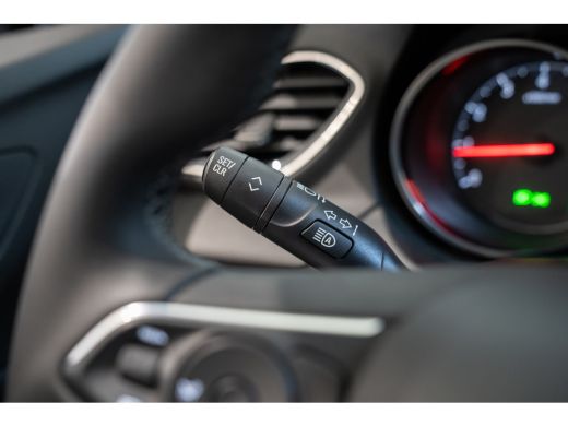 Opel Grandland X 1.2 Turbo Business Executive | Climate Controle | Navigatie | Camera | Parkeersensoren | AGR Stoe... ActivLease financial lease