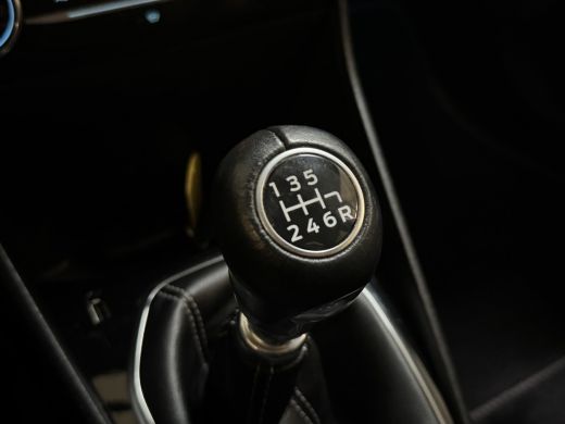 Ford Fiesta 1.0 EcoBoost 100PK TITANIUM NAVI/LED/CRUISE ActivLease financial lease