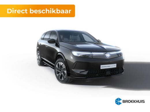 Opel Grandland Business Edition - Electric | Achteruitrijcamera | Draadloze telefoonlader (Inductie) | Elektroni... ActivLease financial lease