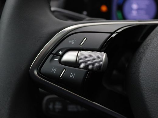 Skoda Kodiaq 1.5 TSI PHEV Business Edition Plus 204PK DSG Pano-Schuifdak, Trekhaak, Side Assist, Virtual Pedal... ActivLease financial lease