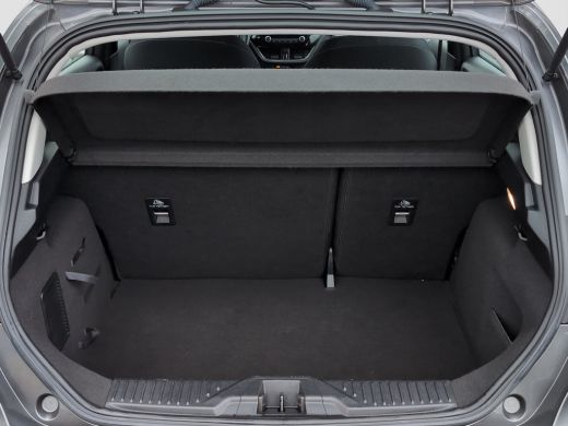 Ford Fiesta 1.0 Titanium | Cruise Control | Apple Carplay | Navigatie | Climate Control | PDC | Achteruitrijc... ActivLease financial lease