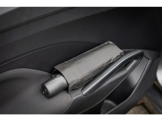 Skoda Fabia 1.0 TSI Business Edition | Stoel verwarming | PDC V+A | Apple Carplay/Android Auto | Cruise contr... ActivLease financial lease