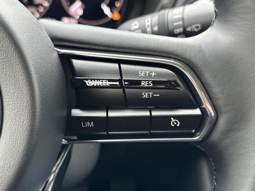 Mazda CX-60 2.5 e-SkyActiv PHEV Exclusive-Line Business |  Bose-premium | 360 camera | Elektrische achterklep... ActivLease financial lease