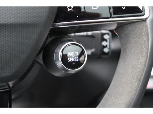 Renault Austral 1.2 E-Tech full hybrid 200 iconic | BTW | PANO | ACC | 360 | STOEL&STUUR VERW | ELEK STOELEN | DO... ActivLease financial lease