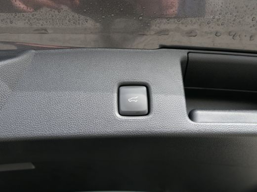 Ford Kuga 2.5 PHEV ST-Line X | Black Pack | Panoramadak | Trekhaak | B&O | Winterpack | AGR Stoelen | Matri... ActivLease financial lease