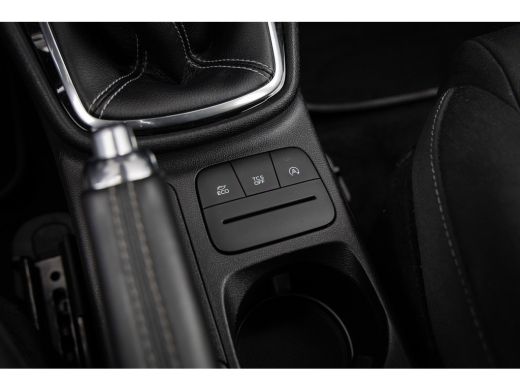 Ford Fiesta 1.0 EcoBoost Titanium | 100% dealer onderhouden | Navigatie incl. bluetooth | Cruise control | Cl... ActivLease financial lease