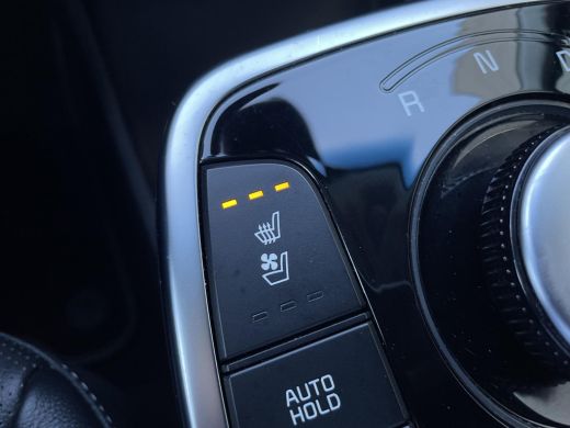 Kia e-Niro ExecutiveLine 64 kWh ActivLease financial lease