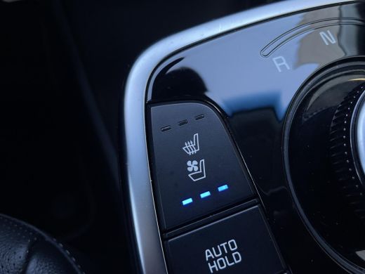 Kia e-Niro ExecutiveLine 64 kWh ActivLease financial lease