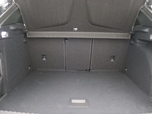 CUPRA Terramar 1.5 TSI e-Hybrid Business 204PK DSG Pano-Schuifdak, Trekhaak, 20" LM Velgen, Memorystoel, Keyless... ActivLease financial lease