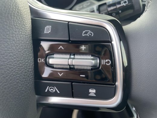 Kia Sorento 1.6 T-GDi Plug-in Hybrid 4WD ExecutiveLine 6p. | 360* Camera | Panorama schuif kantel dak | Stoel... ActivLease financial lease