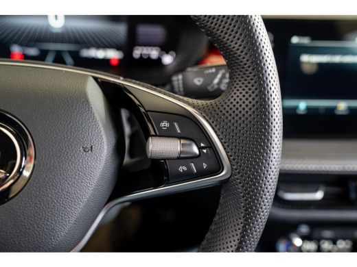 Skoda Fabia 1.0 TSI Monte Carlo ActivLease financial lease