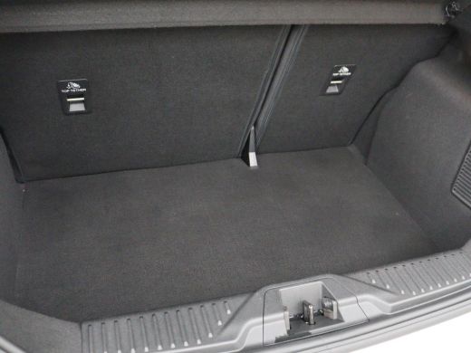 Ford Fiesta 1.0 EcoBoost Titanium | Automaat | 1e eigenaar | Stoelverwarming | Adaptive cruise | Camera | Car... ActivLease financial lease