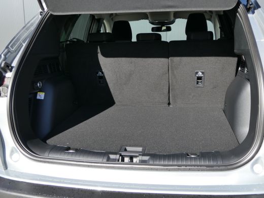 Ford Kuga 2.5 PHEV Titanium | Winterpack | Driver Assistance Pack | Trekhaak | ActivLease financial lease