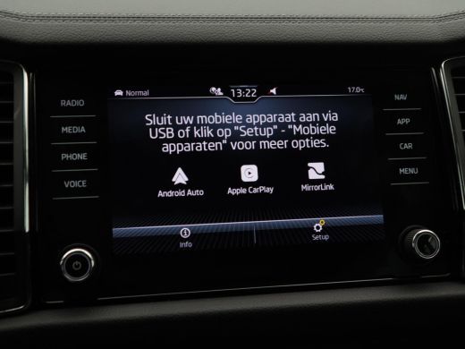 Skoda Kodiaq 1.5 TSi 150 Pk Automaat Business Edition Plus | Trekhaak | Stoelverwarming | Camera | Climatronic... ActivLease financial lease