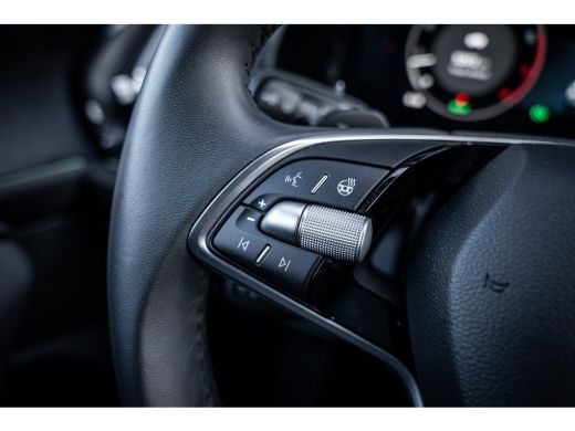 Skoda Kodiaq 1.5 TSI MHEV Business Edition 7p. | Achteruitrijcamera | Cruise control adaptief | Dodehoek detectie ActivLease financial lease