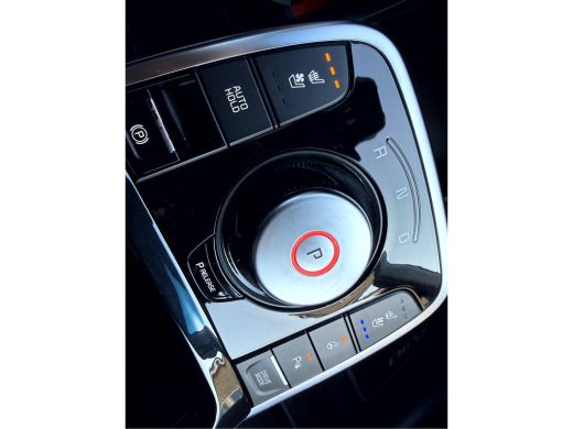 Kia e-Niro ExecutiveLine 64 kWh App Connect, Leer, Camera, Stoel/Stuur Verwarming ActivLease financial lease