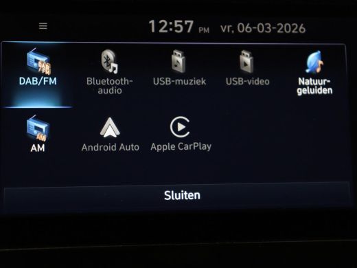 Hyundai Tucson 1.6 T-GDI HEV Premium 4WD | Stoelventilatie | Leder | 360 Camera | Adaptive cruise | Memory | Ach... ActivLease financial lease