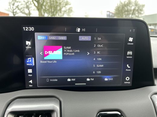 Suzuki e Vitara Select 61 kWh ActivLease financial lease