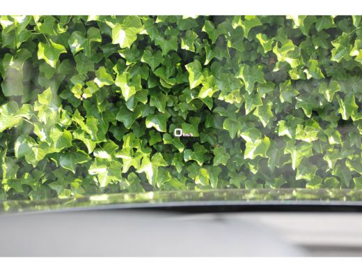 Audi Q5 55 TFSIe S edition Competition | FULL OPTION! | DEALER OH! | LUCHTVERING | PANODAK STOELVERWARMIN... ActivLease financial lease