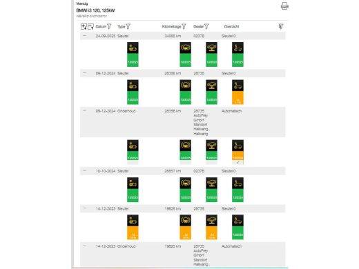 BMW i3 Executive 120Ah 42 kWh/Schuifdak/H-Kardon/Adaptive/Carplay/Camera/3-fase ActivLease financial lease