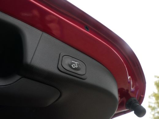 Ford Focus 1.0 EcoBoost Hybrid ST Line X | Panoramadak | Winterpack | AGR Stoel | 18 Inch | B&O Audio | Adap... ActivLease financial lease