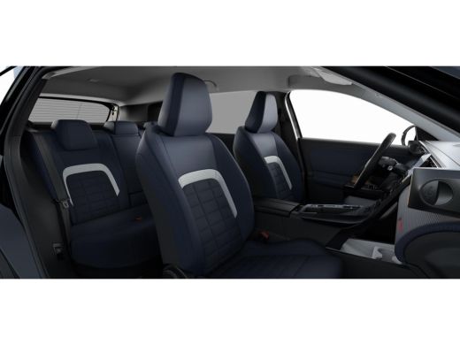 Citroën C5 Aircross Business | Extra getinte achterste zijruiten en achterruit ActivLease financial lease