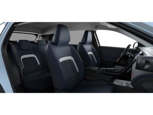 Citroën C5 Aircross Business | Extra getinte achterste zijruiten en achterruit ActivLease financial lease