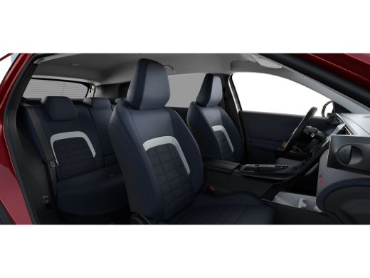 Citroën C5 Aircross Business | Extra getinte achterste zijruiten en achterruit ActivLease financial lease