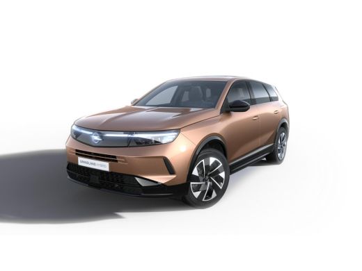 Opel Grandland Business Edition - PHEV | 7,4 kW boordlader | Achteruitrijcamera | Draadloze telefoonlader (Induc... ActivLease financial lease